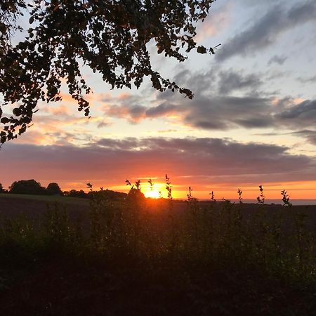 Appartamento Hof Uhleck Am Koenigsstuhl Lohme Esterno foto