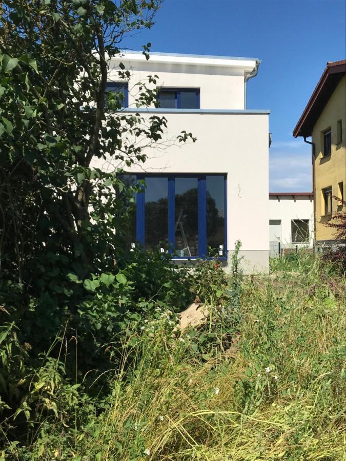 Appartamento Hof Uhleck Am Koenigsstuhl Lohme Esterno foto