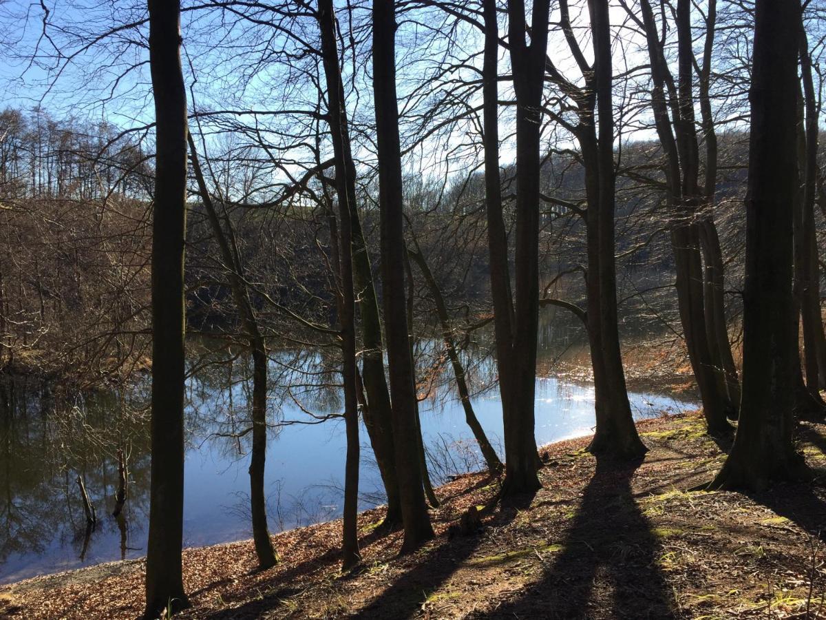 Appartamento Hof Uhleck Am Koenigsstuhl Lohme Esterno foto