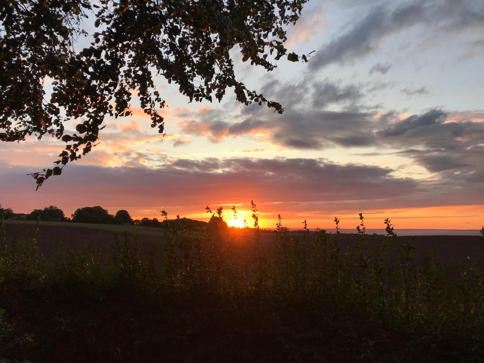 Appartamento Hof Uhleck Am Koenigsstuhl Lohme Esterno foto