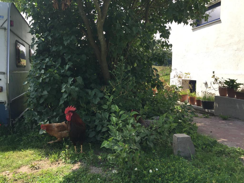 Appartamento Hof Uhleck Am Koenigsstuhl Lohme Esterno foto