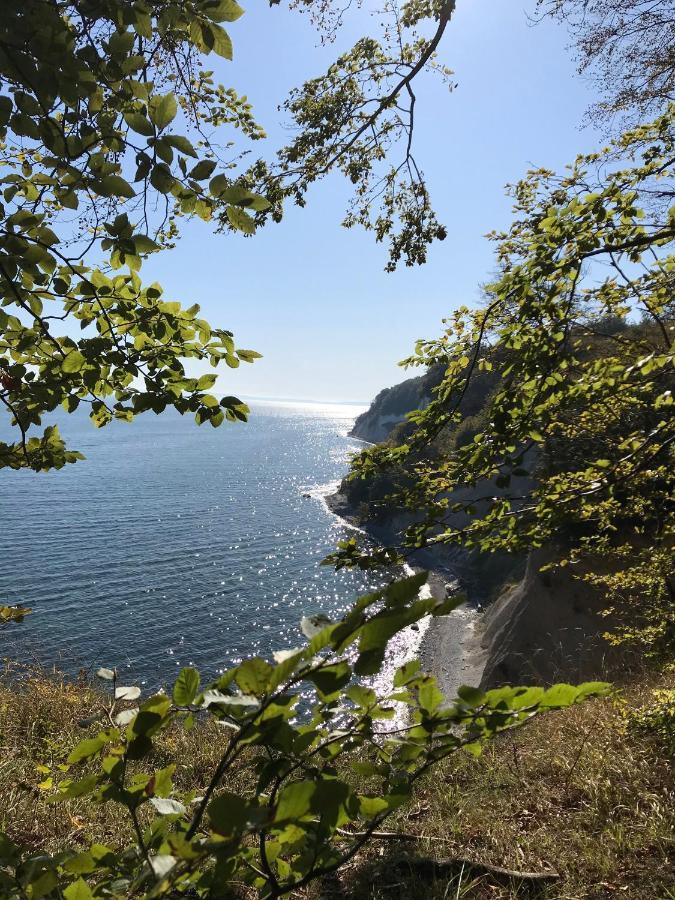 Appartamento Hof Uhleck Am Koenigsstuhl Lohme Esterno foto